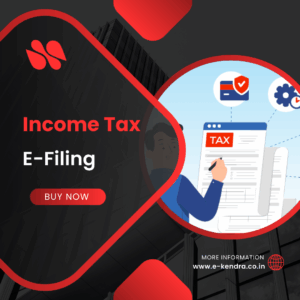 Income Tax E-Filing