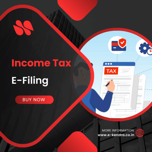 Income Tax E-Filing
